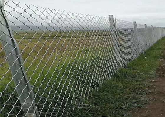 Zink Met een laag bedekte Cycloon Mesh Fencing 60*60mm Pvc Met een laag bedekt Diamond Mesh