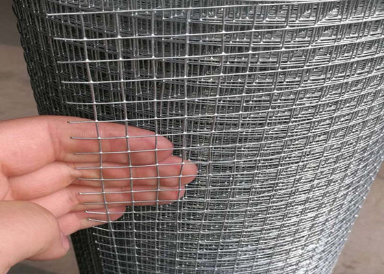 1.5*1.5cm Gelaste Gelaste de Draadcomités van Draadmesh fence 4x8 voor Kippenkippenren