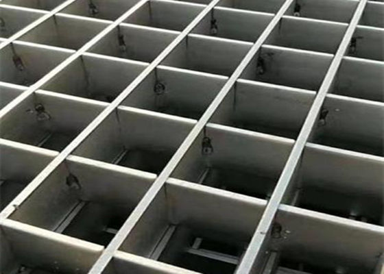 Zilveren Kleur 316 Roestvrij staalvloer die 100mm*6mm voor Krachtcentrales raspen