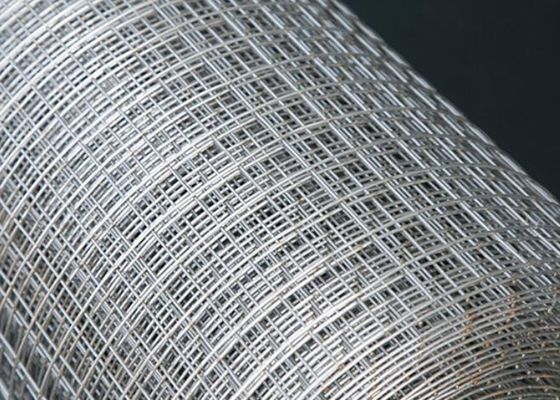 Roestvrij staal Gelaste Draad Mesh Fence Panels 3.8mm 12 Maatdraad Mesh Fencing